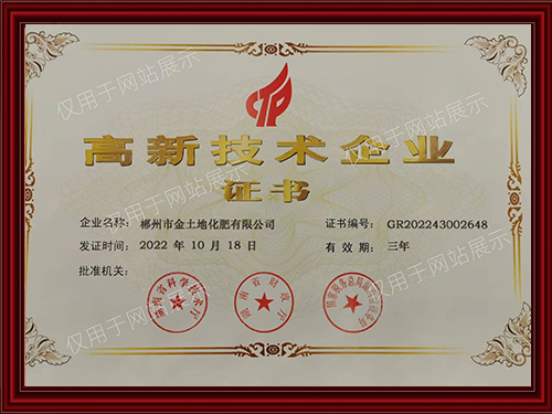 高新技术企业