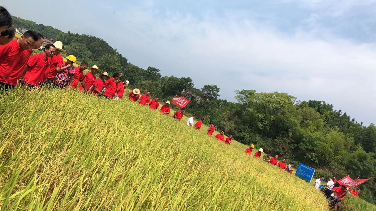 郴州市金土地化肥有限公司,湖南配方肥定点加工,林木肥销售,有机肥质量 郴州市金土地化肥有限公司,湖南配方肥定点加工,林木肥销售,有机肥质量